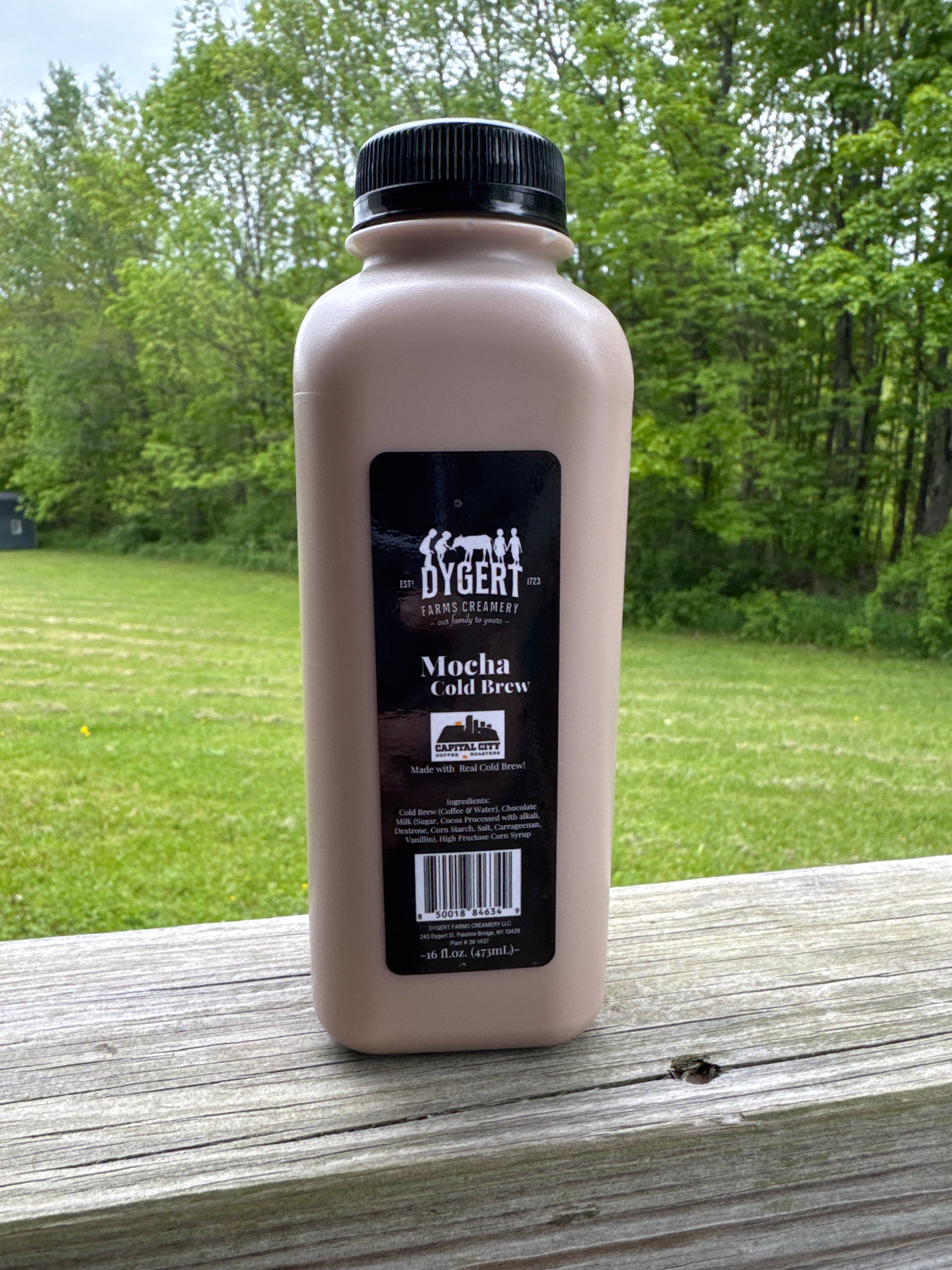 Mocha Cold Brew