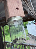 Carpenter Bee Traps