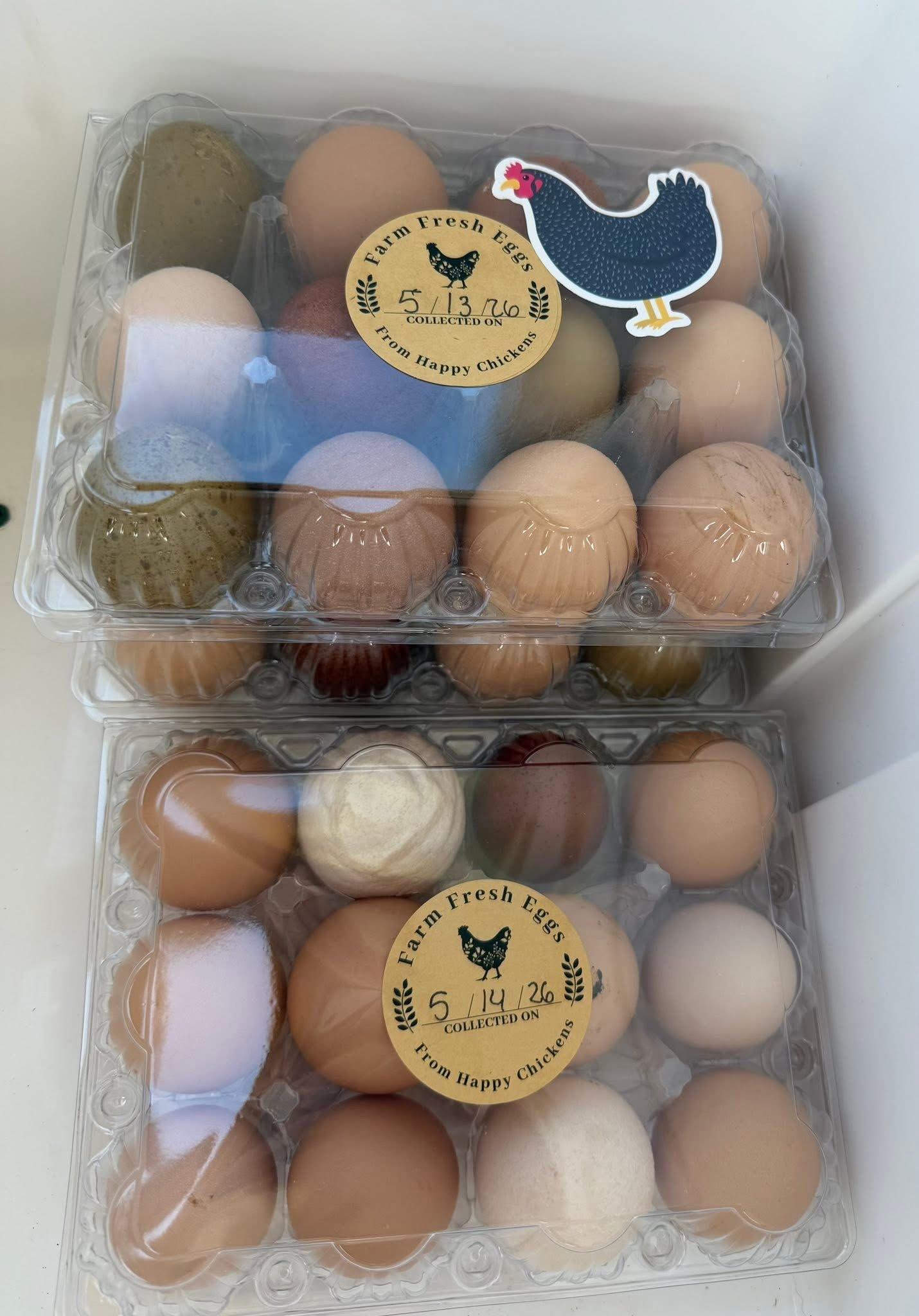 Chicken Eggs