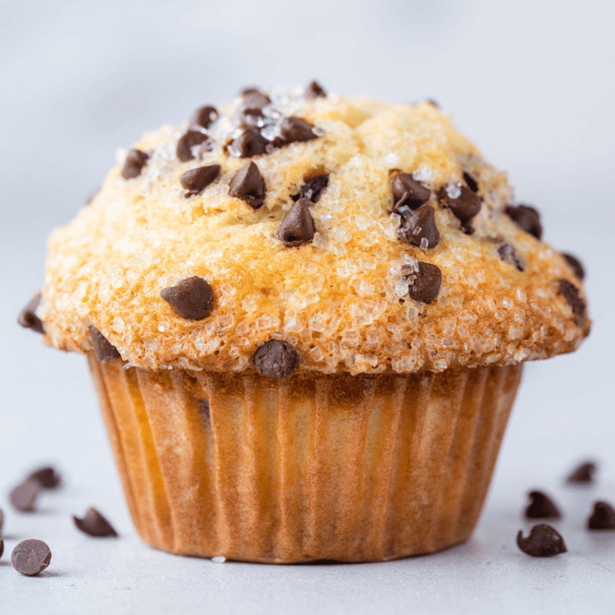 Chocolate Chip Muffins
