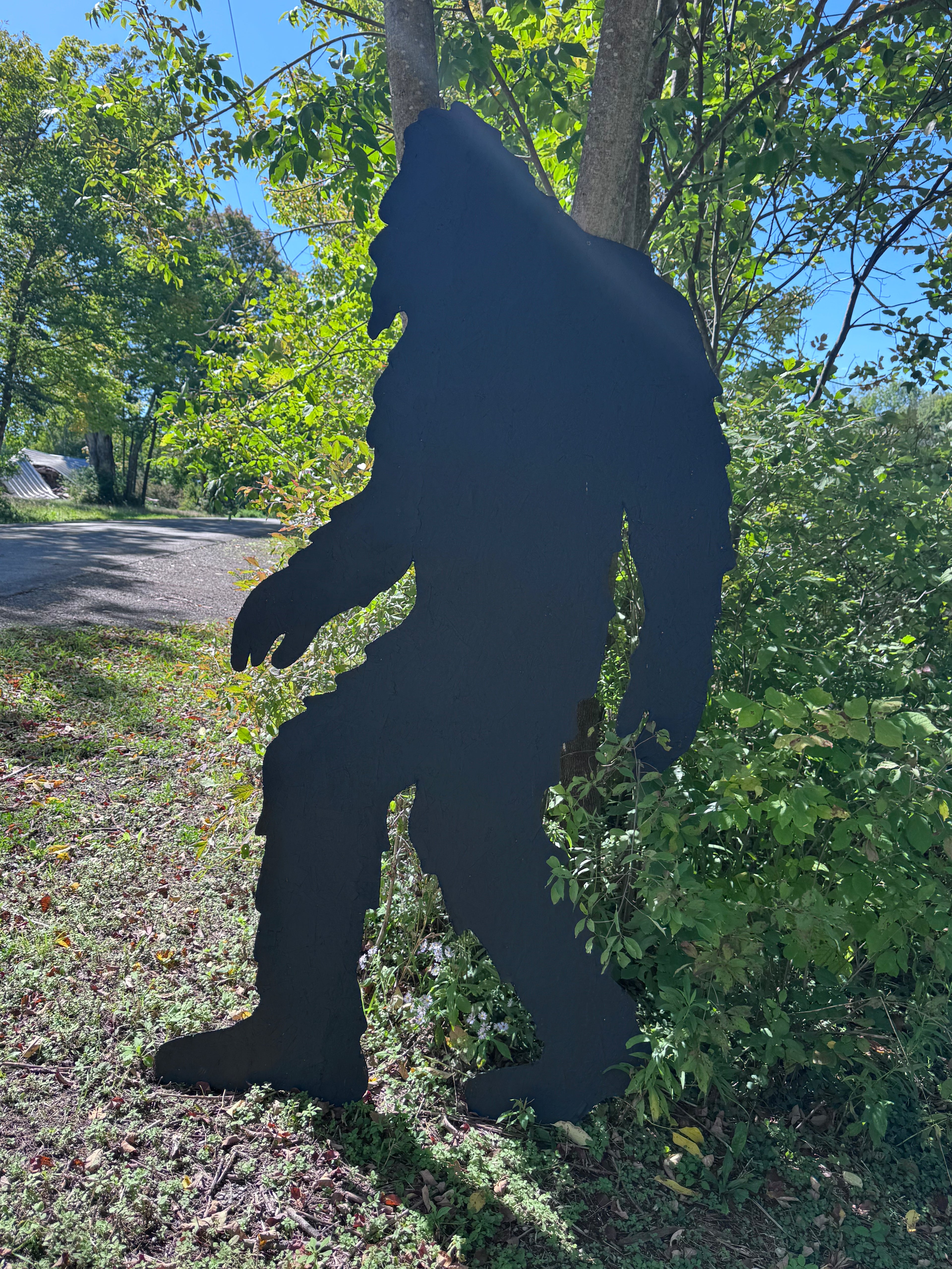 Bigfoot Silhouette Raffle