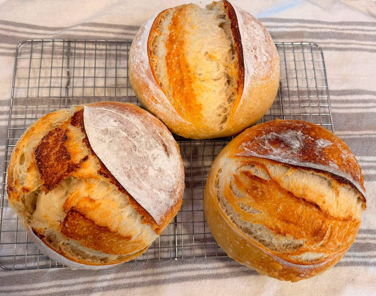Dill Pickle & Cheddar Sourdough